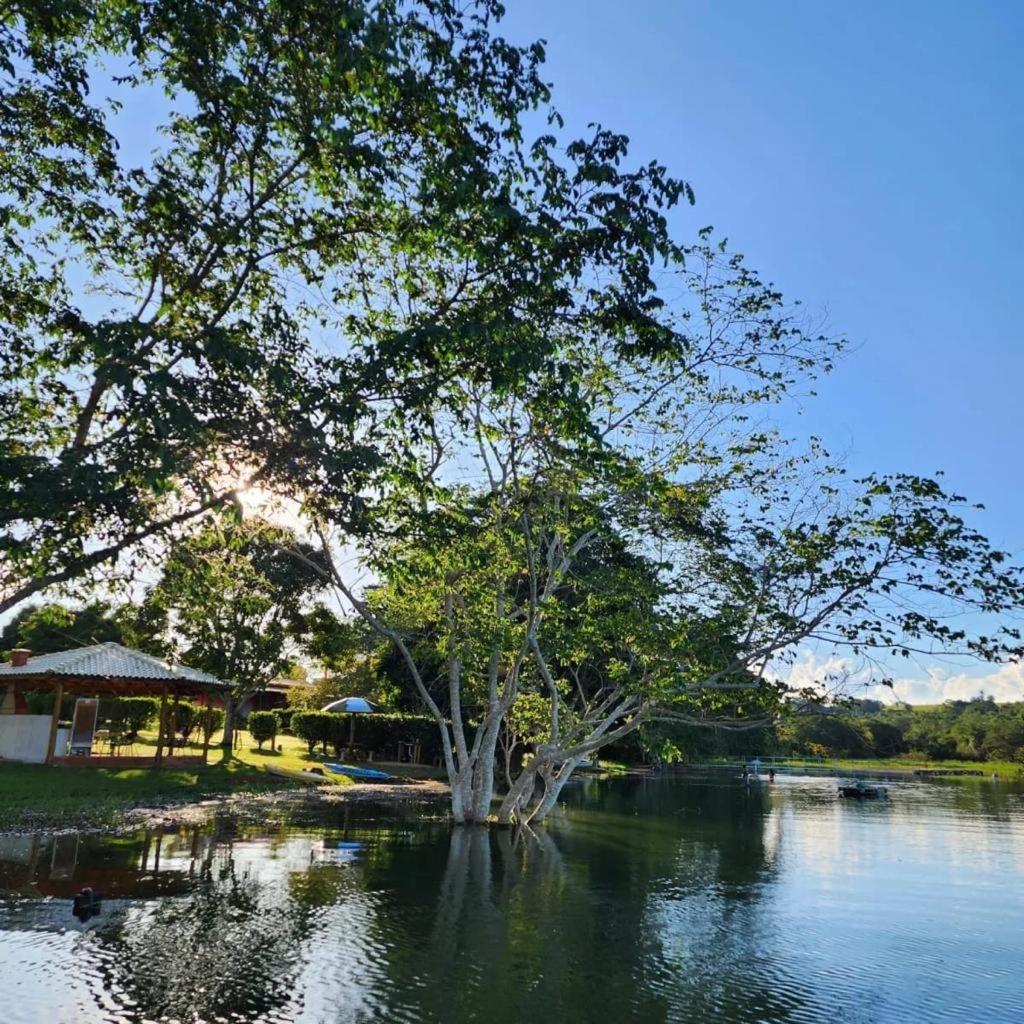 Pousada Aguas Claras/Canastra Delfinopolis Exterior photo